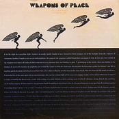 PEACE IS OUR WEAPON LOVE IS OUR SONG
