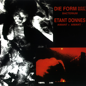 Bacterium / Aimant + Aimant -