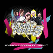 Whatcha Gonna Do With It by Family Force 5