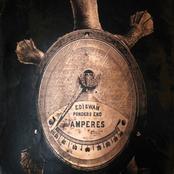 signals from a ghost fungus