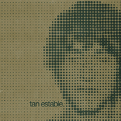 Tan estable