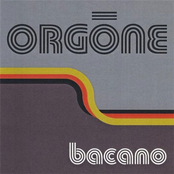 Come Around by Orgone