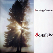 Burning Emotion