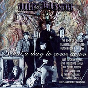 What a Way to Come Down