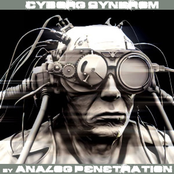[rz088] Analog Penetration - Cyborg Syndrom 2008