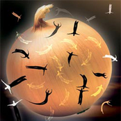 Kamēr tu šo spēli spēlē