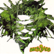 Earthjuice