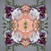 monster prom (BABYNYMPH remix)