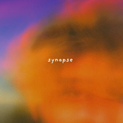 synapse