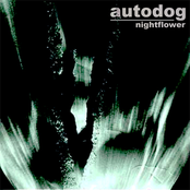 Autodog