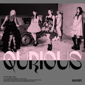Qurious