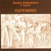 Flute Music