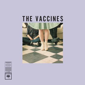 Primal Urges by The Vaccines