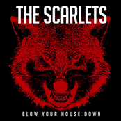 Blow Your House Down
