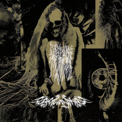 Psywarfare × Sanctuary State