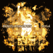 Boundless Human Stupidity