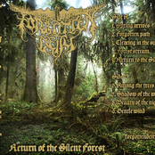 Return to the Silent Forest