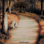 ...landscapes