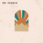 Shadowgrass: Mr. Charlie