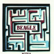 Nothing Counts For More by Beagle