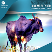 Schlock Tactile - Love Me Slender (Remix)