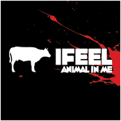 Ifeel