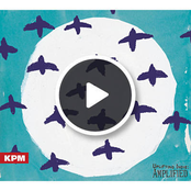 Uplifting Indie Amplified