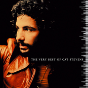 Peace Train by Cat Stevens