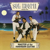 Master Of The Hawaiian Guitar, Volume Two