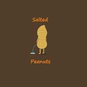 Salted Peanuts