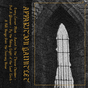 By the Fading Light of the Last Torch