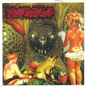 Denak / Hypoptalasias