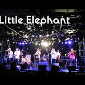 The Little Elephant