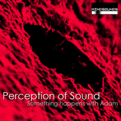 Something Happens with Adam