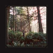 Seed of a Seed by Haley Heynderickx [10 scrobbles]