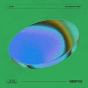 The Blue Wood forest