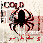 Cold: Year Of The Spider