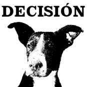 decision