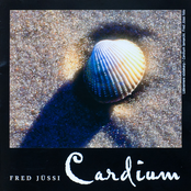 Cardium