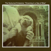 Drowning In A Sea Of Bliss by Nocturnal Emissions