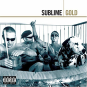 Work That We Do by Sublime