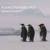 Szukam cię wszędzie