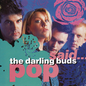 Spin by The Darling Buds