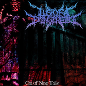 Cat Of Nine Tails