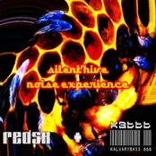 Silent Hive - Noise Experience