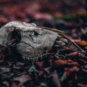 Rear View Mirror: From My Perspective