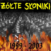 Żółte Słoniki