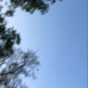 Running thru my head