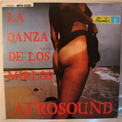La Danza de los Mirlos
