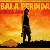 Bala Perdida